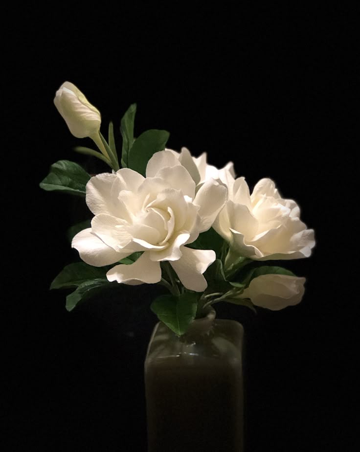 La memoria emocional a través de Agua Magnoliana, perfume de Fueguia&nbsp;1833